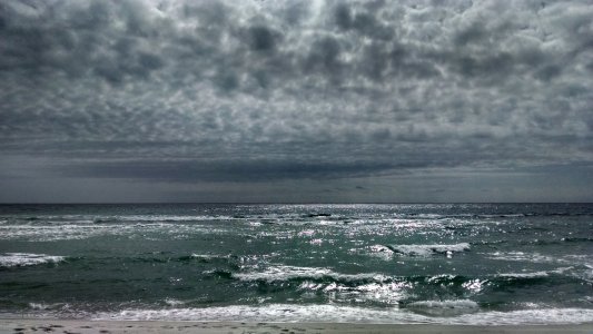 IMG_20131109_112916258_HDR.jpg