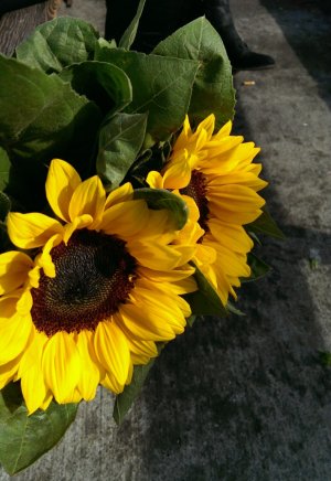IMAG1538_1.jpg
