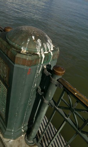 IMAG1552_1.jpg