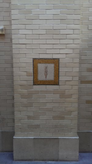 IMAG1559.jpg