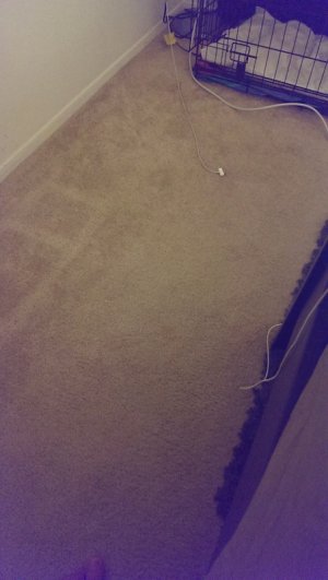 IMAG0010 (1).jpg