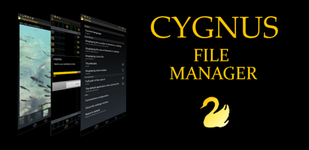 CygnusGrafikaPolecanaEN_740.png CygnusGrafikaPolecanaEN_740.png