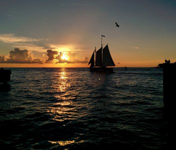 Pic 2.jpg