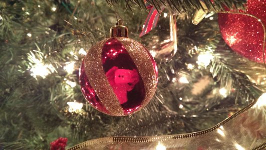 Christmas!.jpg