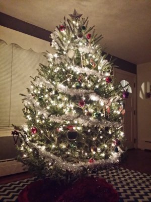 Oh Christmas Tree.jpg