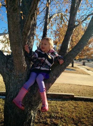 IMG_20131127_152118.jpg