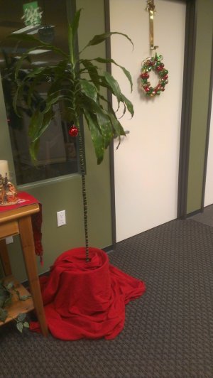 OfficeTree.jpg