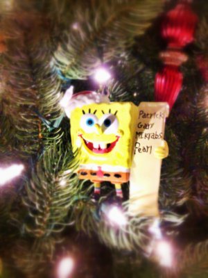 IMG_20131212_202556_1.jpg