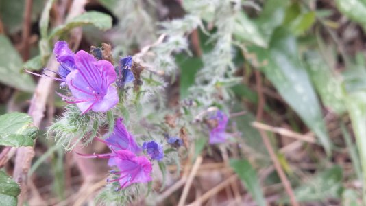 20130928_152440.jpg