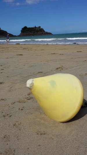 20130819_153610.jpg