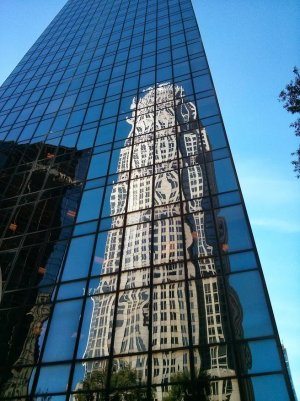 ReflectionsFromCharlote.jpg