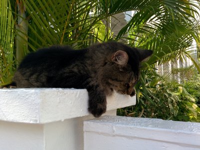 IMG_20131204_143002.jpg