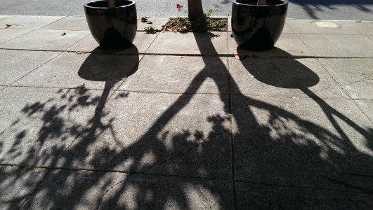 20131113105123[1].jpg