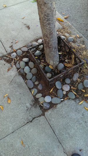 20131113125159[1].jpg