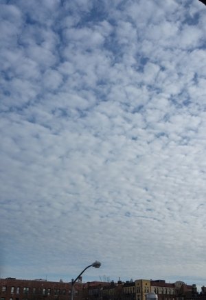 2013-12-01 13.32.04.jpg