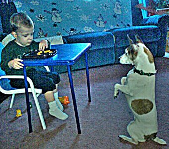 PicsArt_1340865670517_wm.jpg