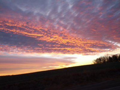 2013-11-08 06.57.04.jpg