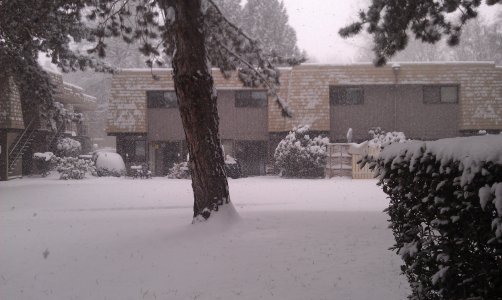 IMAG0630.jpg