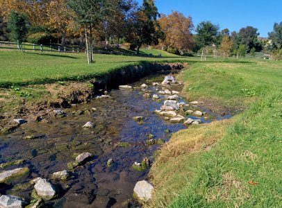 IMG_20131113_124311.jpg