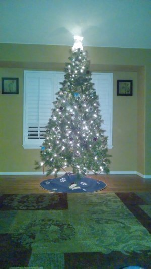 IMG_20131211_204141213.jpg