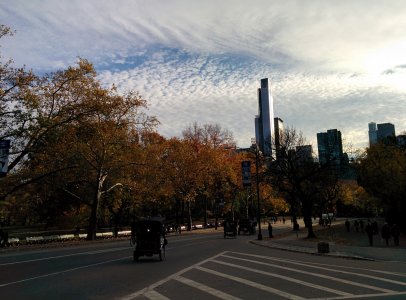 IMG_20131109_145126.jpg