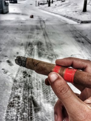 rockypatel sungrown on a snowy day.jpg