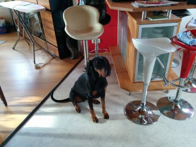 2013-11-14 13.30.03.jpg