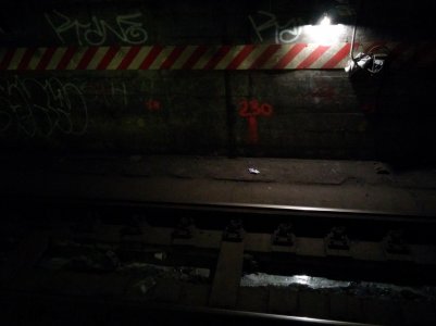 IMG_20131106_195404.jpg