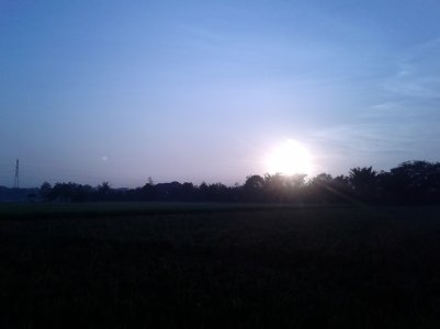 IMG_20130811_061226.jpg