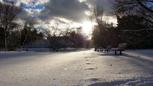 20131207_131926.jpg