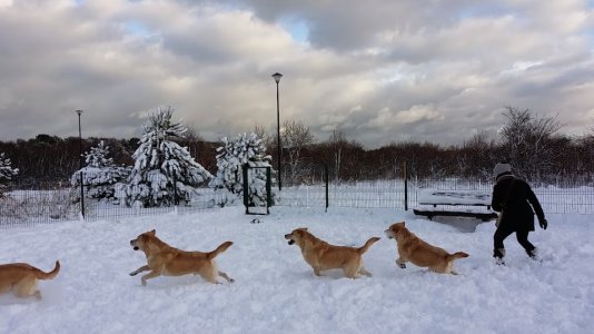 20131207_133058.jpg