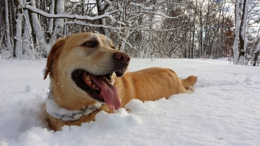 20131207_130721.jpg