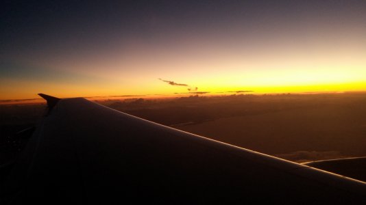 1123131811.jpg