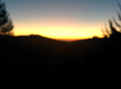 IMG_20131109_061639.jpg