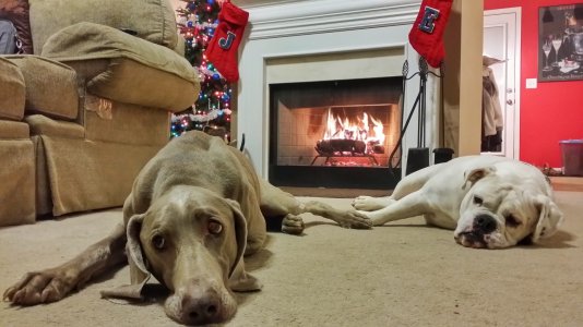 20131215_192839_1.jpg