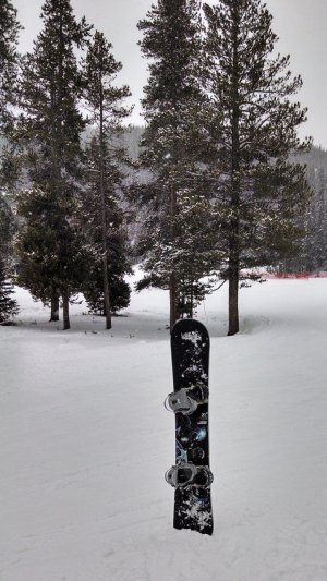 IMG_20131116_144455228_HDR.jpg