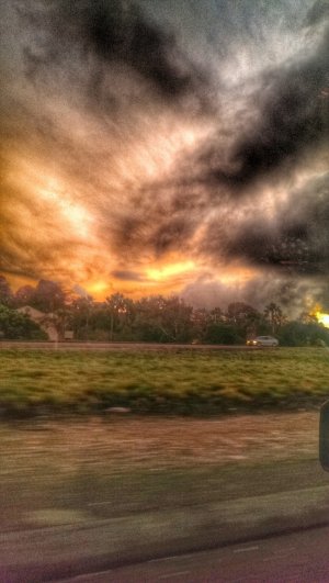 IMAG0935_2.jpg