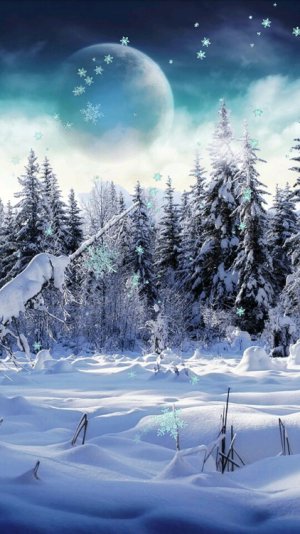 Screenshot_2013-12-14-11-30-24.jpg