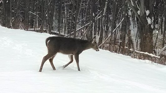 IMG_20131217_115022441.jpg