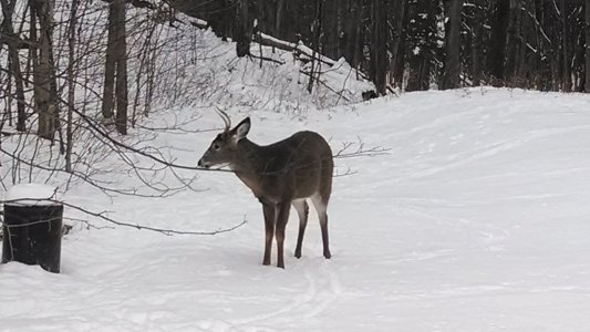 IMG_20131217_114633102.jpg