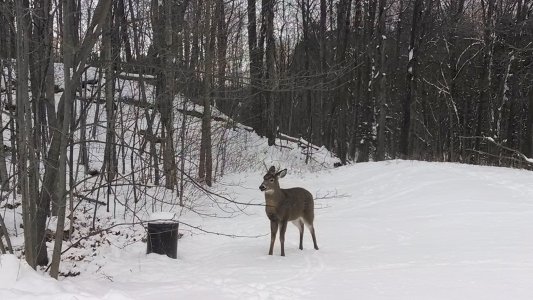 IMG_20131217_114719341.jpg