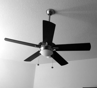 Fan.jpg