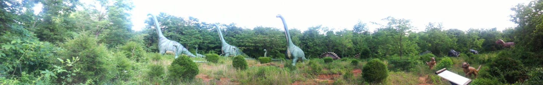 PANO_20120605_165718.jpg
