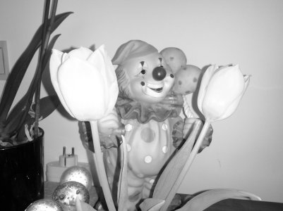IMG_20120430_145531_Tom.jpg