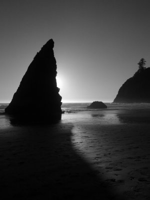 IMG_20120927_103310.jpg