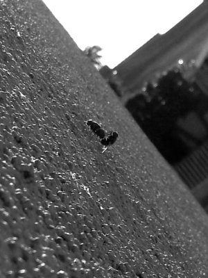 2012-09-28 03.05.22.jpg