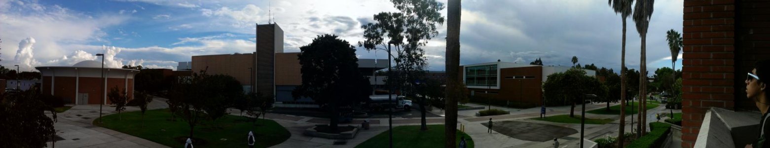IMAG0349.jpg