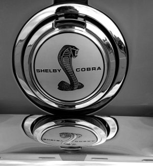 2012-09-27 17.49.18 bw.jpg