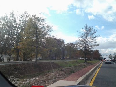 IMG_20121102_124349.jpg