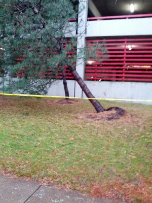 2012-10-30 09.03.59.jpg
